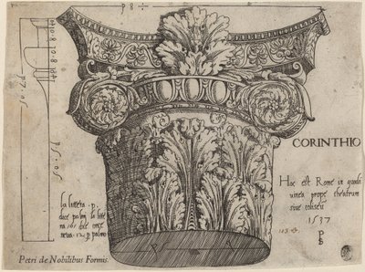 Chapiteau du Colisée, Rome - Master PS