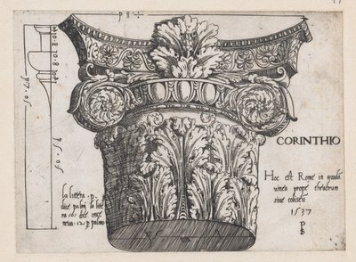 Speculum Romanae Magnificentiae: Chapiteau corinthien, 1537 - Master PS