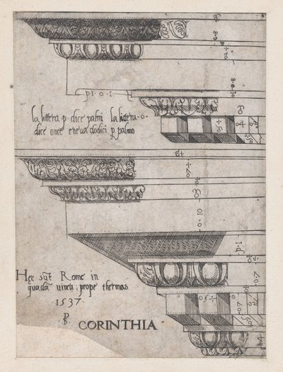 Speculum Romanae Magnificentiae : Entablement corinthien, 1537 - Master PS