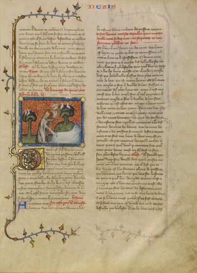 La création des oiseaux et des poissons - Master of Jean de Mandeville