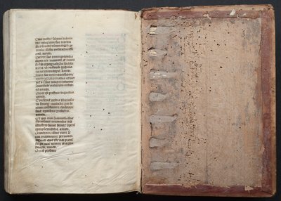 Le Missel de Gotha : Fol. 164v, Texte, vers 1375 - Master of the Boqueteaux
