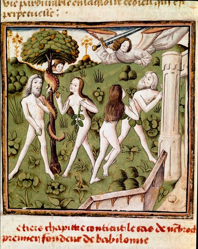 Adam et Ève cueillant le fruit défendu. Miniature du Maître du Champion des Dames (15ème siècle) tirée du manuscrit "Des hommes illustres" de Giovanni Boccaccio (Jean Boccaccio) (1313-1375). 15ème siècle. Carpentras. Bibliothèque Inguimbertine - Master of the Champion des Dames