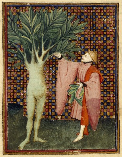 Apollon et Daphné - Master of the Cité des Dames