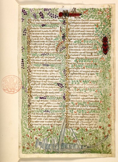 Fleurs, fruits et insectes, y compris une sauterelle et une locuste, d