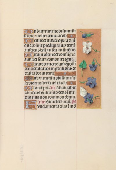 Heures de la reine Isabelle la Catholique, reine d