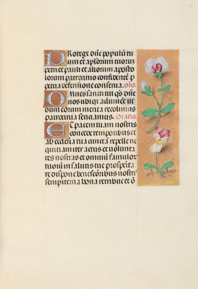 Heures de la reine Isabelle la Catholique, reine d