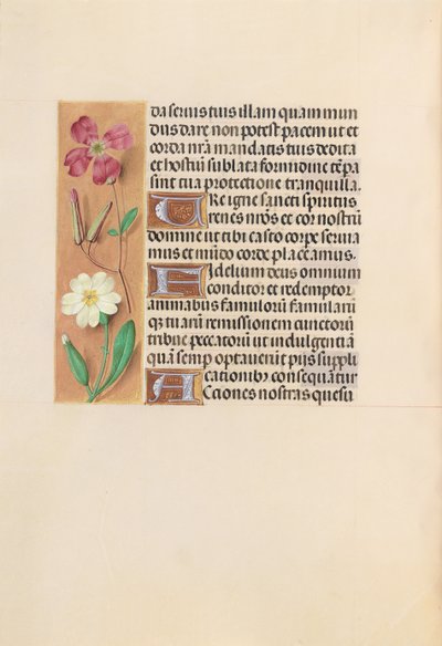 Heures d