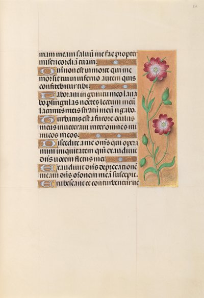 Heures de la reine Isabelle la Catholique, reine d