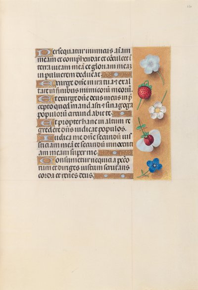 Heures de la reine Isabelle la Catholique, reine d