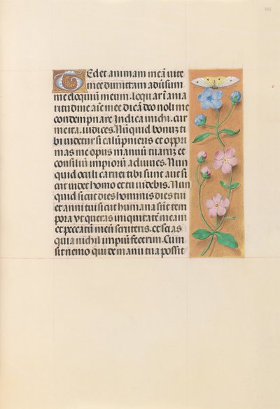 Heures de la reine Isabelle la Catholique, reine d