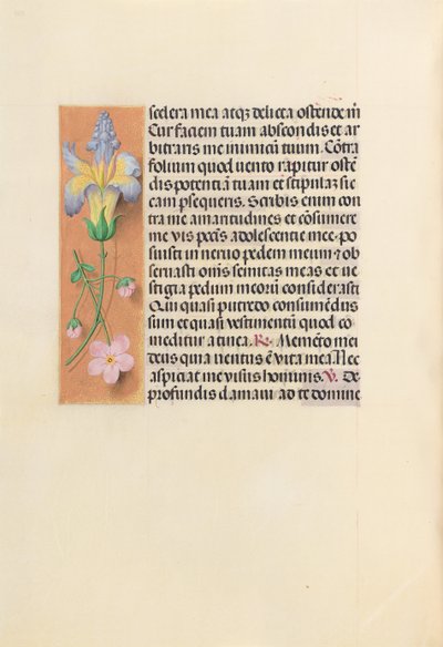 Heures de la reine Isabelle la Catholique, reine d