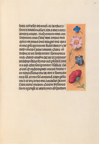 Heures de la reine Isabelle la Catholique, reine d