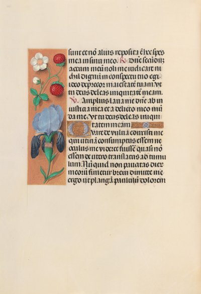 Heures de la reine Isabelle la Catholique, reine d