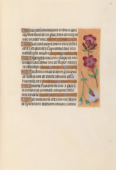 Heures de la reine Isabelle la Catholique, reine d