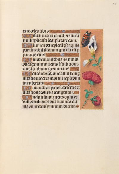 Heures de la reine Isabelle la Catholique, reine d