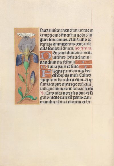 Heures de la reine Isabelle la Catholique, reine d