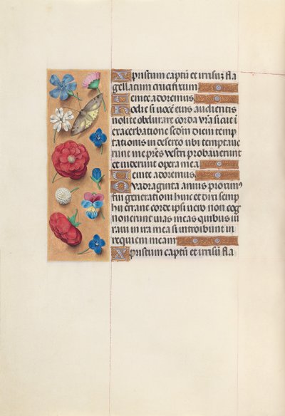 Heures de la reine Isabelle la Catholique, reine d