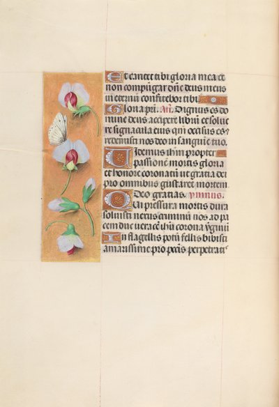 Heures de la reine Isabelle la Catholique, reine d