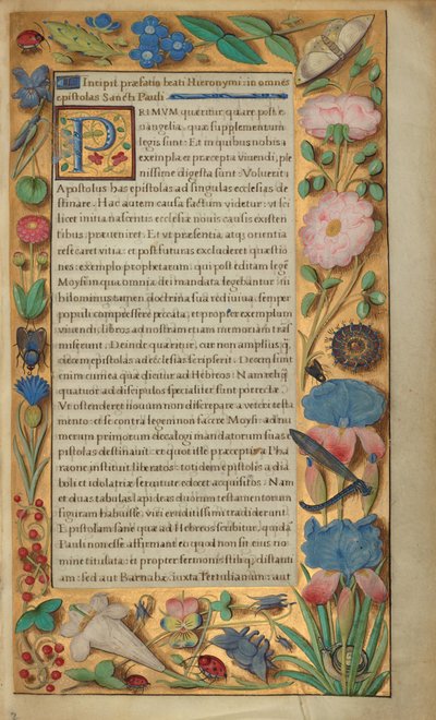 Page de texte décorée - Master of the Getty Epistles