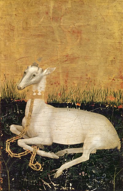 Cerf blanc, du 