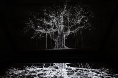 Albion, 2017 (projecteur, lecteur multimédia, échafaudage, film transparent, bois, peinture, miroir, accessoires d