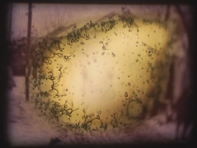 Barbarossa, 2002 (vidéoprojecteur et projecteur de diapositives simulées) - Mat Collishaw