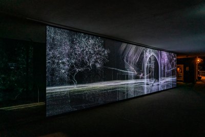 Echolocation, 2021 (projection vidéo à 3 canaux sur toile de polypropylène) - Mat Collishaw