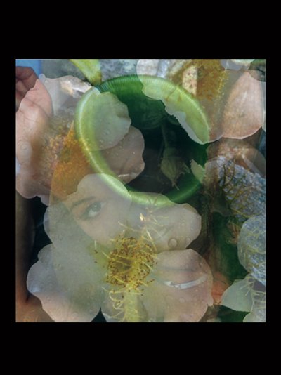 Flesheaters 2 - Mat Collishaw