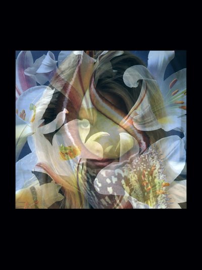 Flesheaters 3 - Mat Collishaw