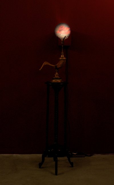 Horn Blower, 2002 (verre, eau, laiton, corne de bélier, bois, projecteur vidéo et lecteur) - Mat Collishaw