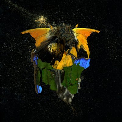Insecticide 14, 2009 (photographie de type C) - Mat Collishaw