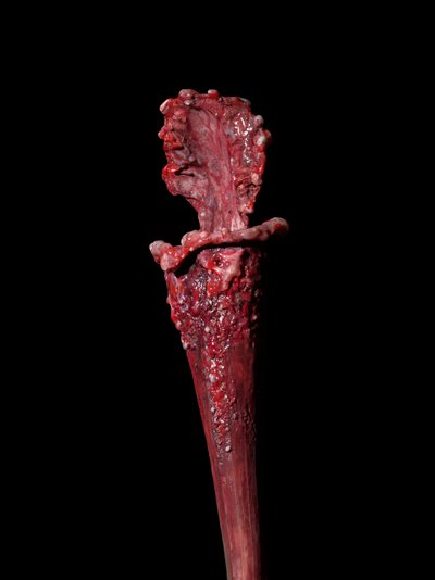 The Venal Muse, Fenside, 2012 (résine, peinture émaillée, bois, verre, acier) - Mat Collishaw