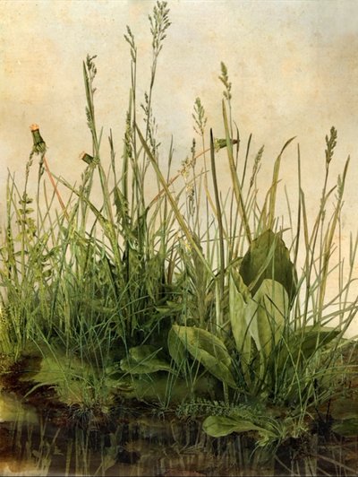 Whispering Weeds, 2011 (cadre en bois, bordure, écran LCD, ventilateur et disque dur) - Mat Collishaw