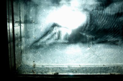 Wormery, 2009 (bois, verre, acier, projecteur et lecteur) - Mat Collishaw