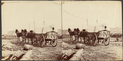  - Mathew B. Brady