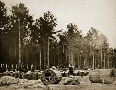 Fabrication de gabions devant Petersburg, 1861-65 - Mathew B. Brady