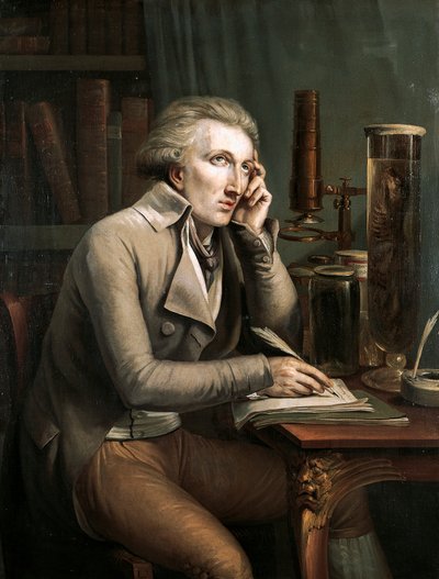 Portrait de Georges Léopold Cuvier - Mathieu Ignace van Bree