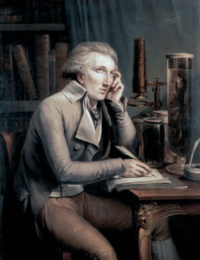 Portrait de Georges Léopold Cuvier - Mathieu Ignace van Bree