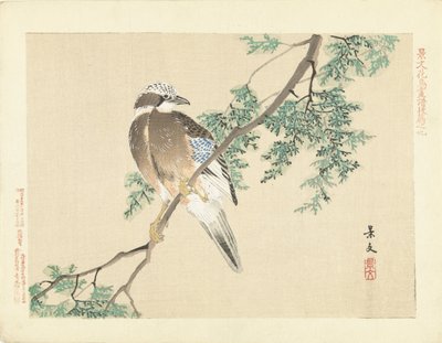 Geai sur une branche - Matsumura Keibun