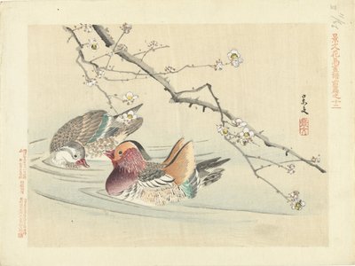 Deux canards - Matsumura Keibun