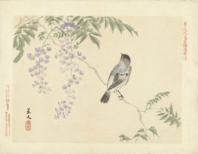 Oiseau sur une branche de glycine - Matsumura Keibun