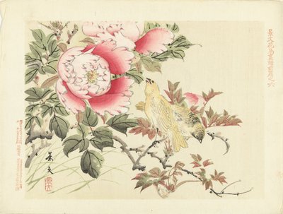 Oiseaux et pivoines - Matsumura Keibun