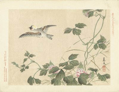 Oiseau volant près d