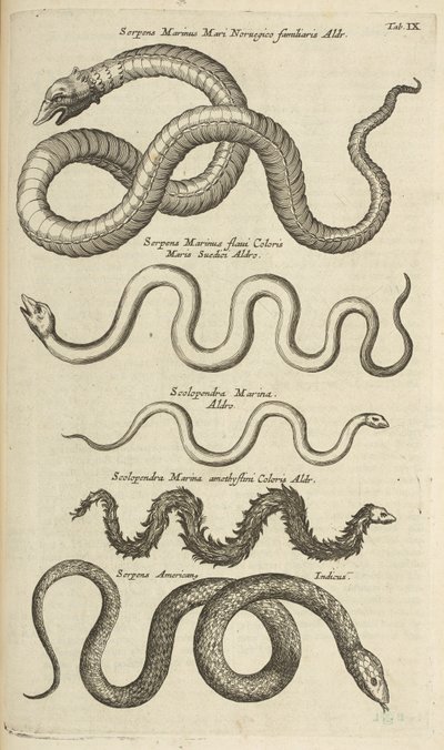 Tab IX, Serpents de mer, Illustration de 