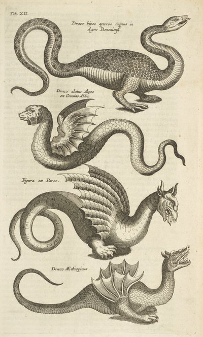 Tab XII, Créatures mythiques, Dragons, Illustration de 