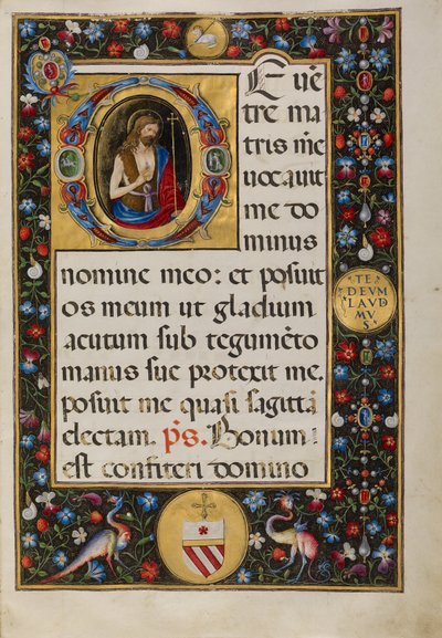 Initiale D : Saint Jean Baptiste - Matteo da Milano