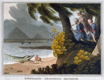 Égyptiens, capture de crocodiles, 1813 - Matthew Dubourg