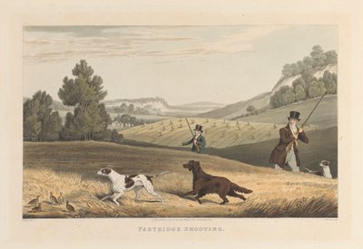Tir aux perdrix - Matthew Dubourg