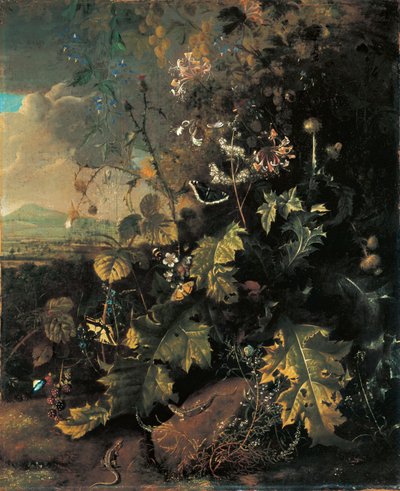 Sol forestier avec papillons et lézards - Matthias Withoos