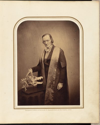 Professeur Owen, F.R.S. - Maull and Polyblank